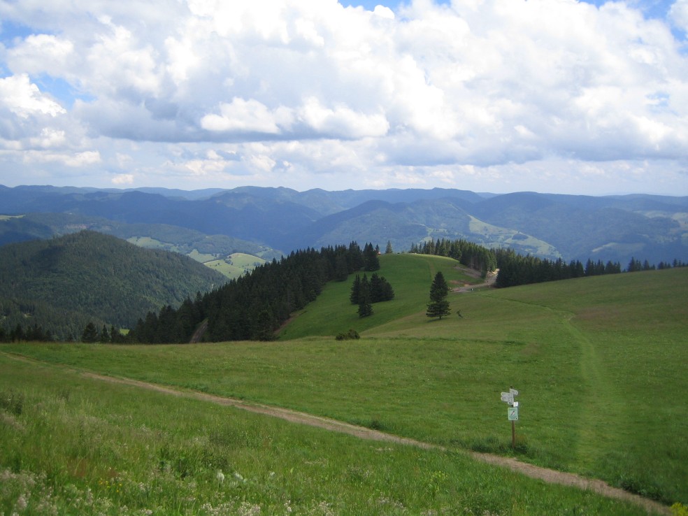 Aussicht Belchen